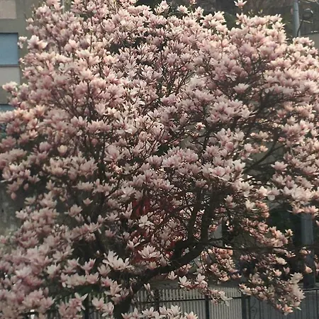 아파트 Uel Laghee *